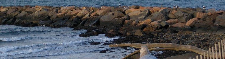 montauk-header.jpg